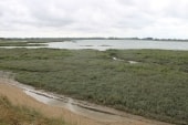 Sallenelles
